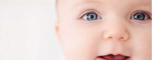 GIFT CERTIFICATE SALE <BR>SPOILED ROTTEN GIFT CERTIFICATE SALE <BR>SPOILED ROTTEN