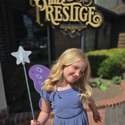 THE FAIRY ACADEMY <BR>THE PRESTIGE MAGIC LOUNGE