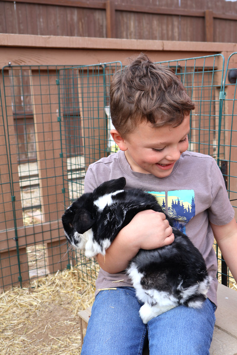 easter bunny photo op