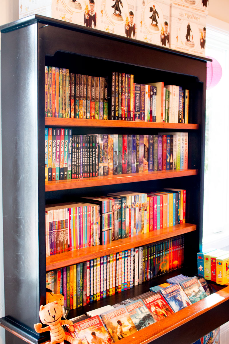 chapter books for young readers