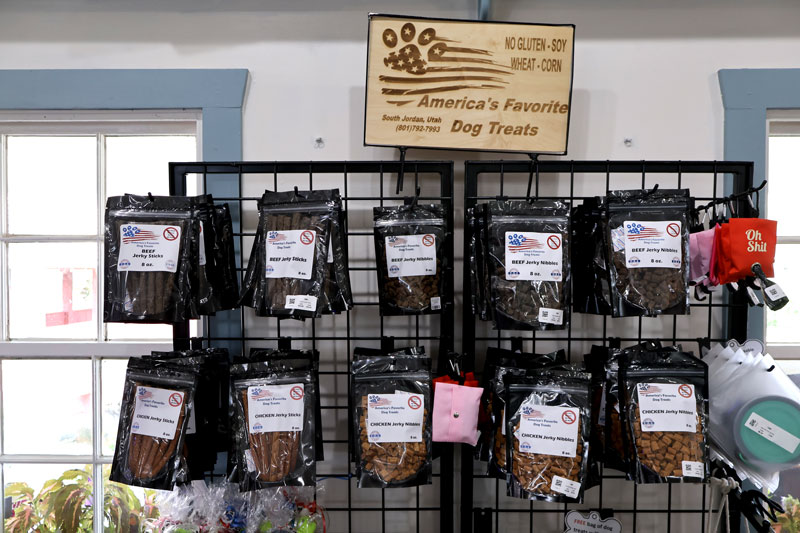 America's favorite dog treats