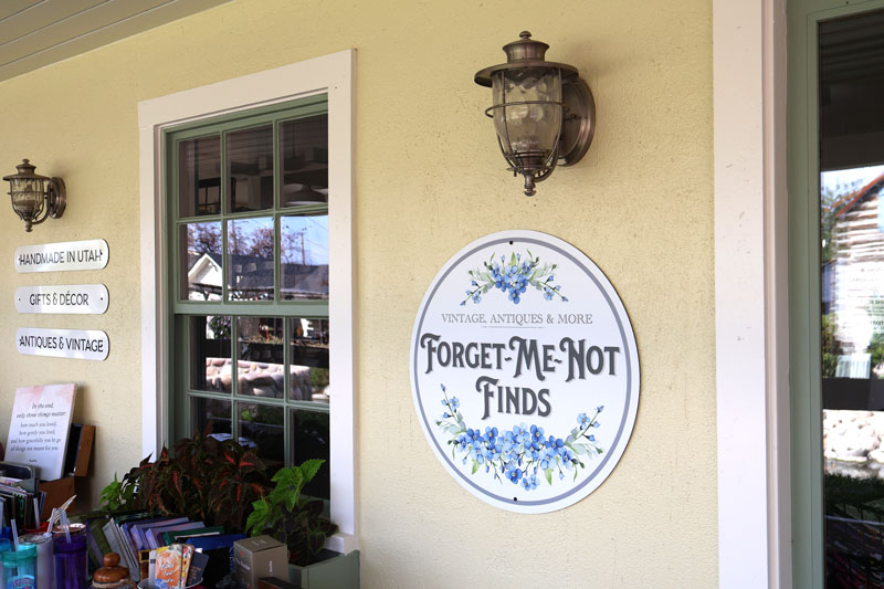 forget me not finds