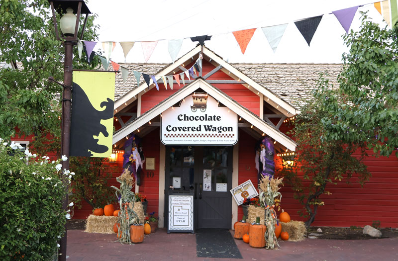 Chocolate Covered Wagon