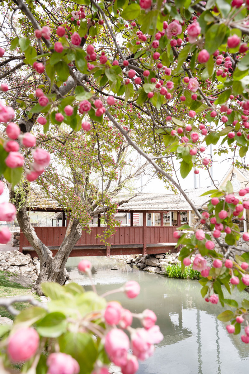 Springtime at Gardner Village